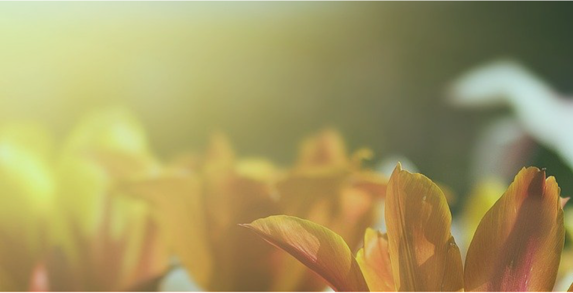 永康优品（晒单有🧧进群请加我） 的封面